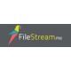 اکانت 30 روزه FileStream Bronze
