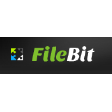 اکانت 165 گیگ FileBit