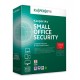 لایسنس اورجینال Kaspersky Small Office Security 6